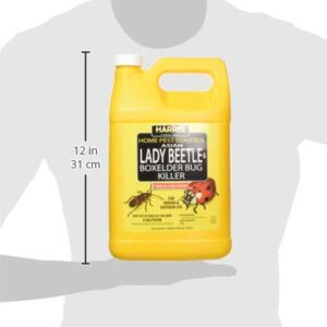 HARRIS Asian Lady Beetle, Japanese Beetle, and Box Elder Killer, Liquid Spray with Odorless and Non-Staining Extended Residual Kill Formula (Gallon)