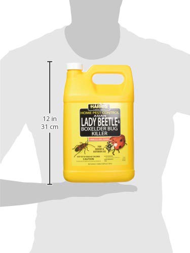 HARRIS Asian Lady Beetle, Japanese Beetle, and Box Elder Killer, Liquid Spray with Odorless and Non-Staining Extended Residual Kill Formula (Gallon)