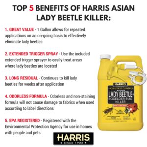 HARRIS Asian Lady Beetle, Japanese Beetle, and Box Elder Killer, Liquid Spray with Odorless and Non-Staining Extended Residual Kill Formula (Gallon)