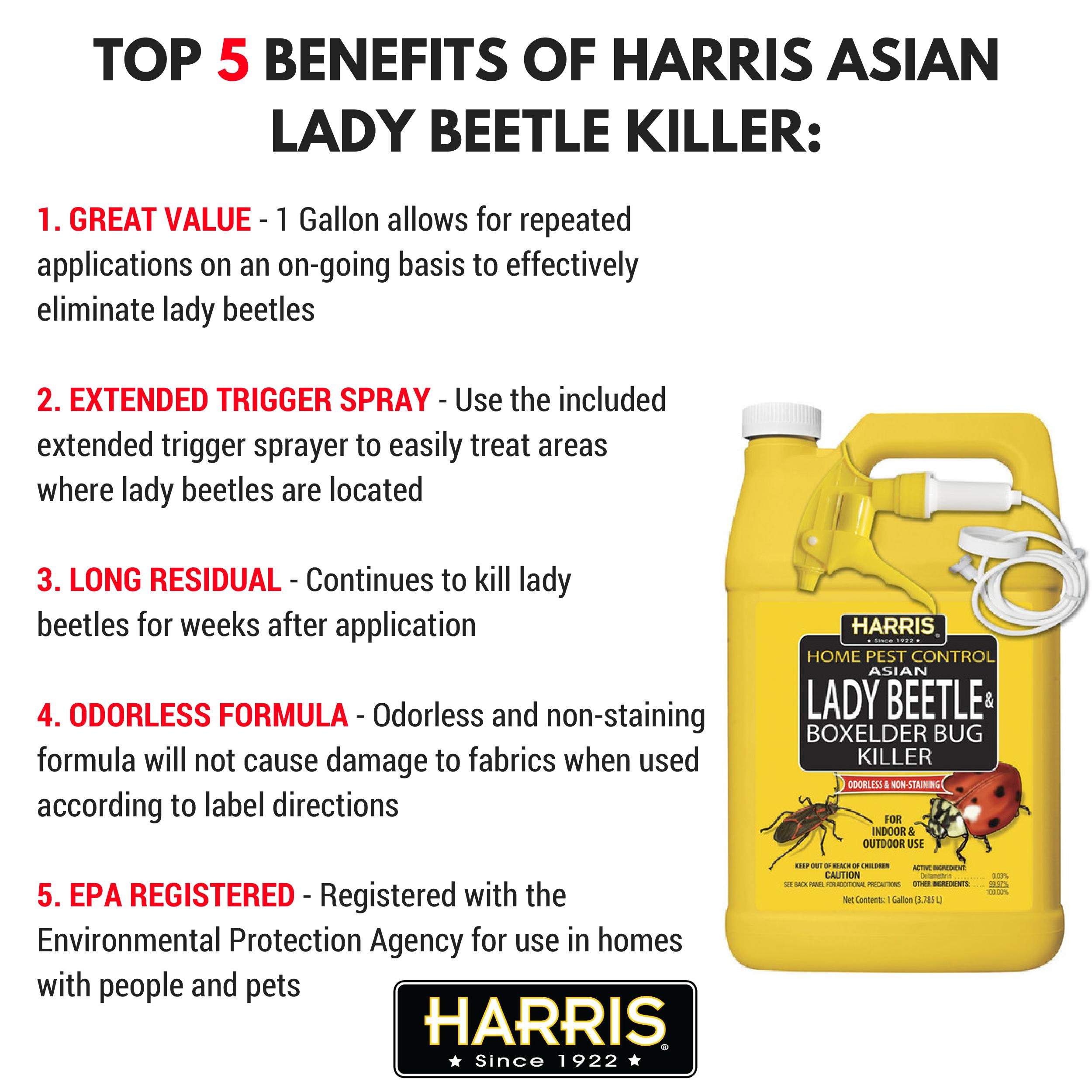 HARRIS Asian Lady Beetle, Japanese Beetle, and Box Elder Killer, Liquid Spray with Odorless and Non-Staining Extended Residual Kill Formula (Gallon)