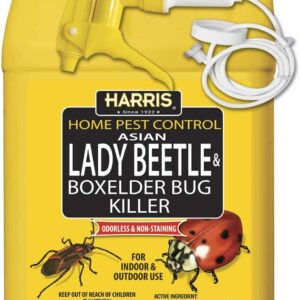 HARRIS Asian Lady Beetle, Japanese Beetle, and Box Elder Killer, Liquid Spray with Odorless and Non-Staining Extended Residual Kill Formula (Gallon)