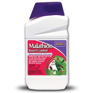 bonide malathion insect control, 32 oz ready-to-mix concentrate bug & spider mite killer for outdoor garden use
