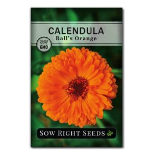 sow right seeds – ball’s orange calendula seeds for planting, beautiful to plant in your flower garden; non-gmo heirloom seed; wonderful gardening gift (1 packet)