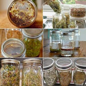 Seeds Sprouting Kit, 2-Pack Mason Jar Germination Growing Kit with Stainless Steel Mesh Lids and Stands, Wide Mouth Jars Germinator, Indoor Seed Sprouter Set for Broccoli Beans Microgreens Sprouts