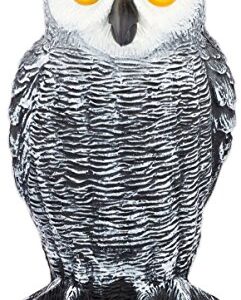 Fake Owl Decoy and Bird Deterrent - Plastic Owls to Scare Birds Away - Effective Bird Deterrent Devices as Scarecrow for Garden - Bird Repellent Devices Outdoor. Keep Birds Away!
