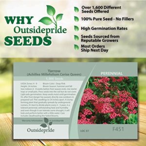 Outsidepride Perennial Achillea Yarrow Cerise Queen Garden Cut Flowers Attracting Butterflies - 10000 Seeds