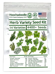 herb variety seed kit – 14 varieties – 4400+ non-gmo open pollenated seeds – hoochadoodle seed company – resealable heirloom herb seed kit