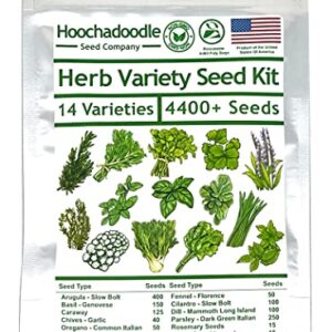 Herb Variety Seed Kit - 14 Varieties - 4400+ Non-GMO Open Pollenated Seeds - Hoochadoodle Seed Company - Resealable Heirloom Herb Seed Kit