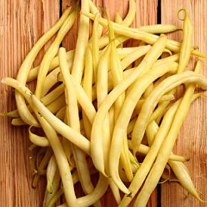 TomorrowSeeds - Kentucky Wonder Yellow Wax Bean Seeds - 30+ Count Packet - (Pole) NonGMO Stringless Butter Beans Garden Vegetable Seed