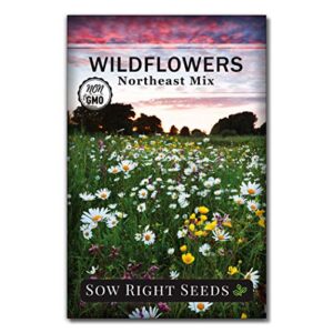 sow right seeds – wildflowers seeds to plant in northeast – full instructions for planting and growing a beautiful wild flower garden; non-gmo heirloom seeds; wonderful gardening gift (1)