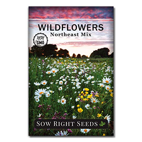 Sow Right Seeds - Wildflowers Seeds to Plant in Northeast - Full Instructions for Planting and Growing a Beautiful Wild Flower Garden; Non-GMO Heirloom Seeds; Wonderful Gardening Gift (1)