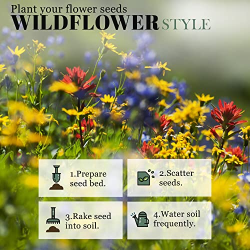 Sow Right Seeds - Wildflowers Seeds to Plant in Northeast - Full Instructions for Planting and Growing a Beautiful Wild Flower Garden; Non-GMO Heirloom Seeds; Wonderful Gardening Gift (1)