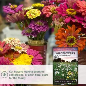 Sow Right Seeds - Wildflowers Seeds to Plant in Northeast - Full Instructions for Planting and Growing a Beautiful Wild Flower Garden; Non-GMO Heirloom Seeds; Wonderful Gardening Gift (1)