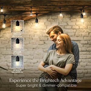 Brightech Ambience Pro Outdoor String Lights - Commercial Grade Waterproof Patio Lights with 48 Ft Dimmable Edison Bulbs - Heavy Duty LED Porch String Lights - 2W LED, Warm White Light