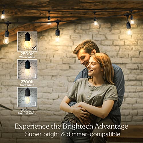 Brightech Ambience Pro Outdoor String Lights - Commercial Grade Waterproof Patio Lights with 48 Ft Dimmable Edison Bulbs - Heavy Duty LED Porch String Lights - 2W LED, Warm White Light