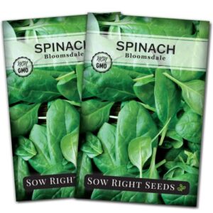 sow right seeds – bloomsdale spinach seeds for planting – non-gmo heirloom packet with instructions to plant and grow an outdoor home vegetable garden – vigorous leafy green – great gardening gift (2)