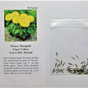 David's Garden Seeds Flower Marigold Giant Yellow FBA-1884 (Yellow) 50 Non-GMO, Hybrid Seeds