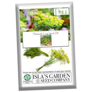 “mammoth long island” dill seeds for planting, 1500+ seeds per packet, (isla’s garden seeds), non gmo & heirloom seeds, botanical name: anethum graveolens, great herb garden gift