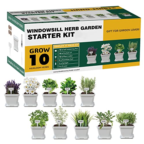 Herb Garden Windowsill Starter Kit - 10 Herb Indoor Kitchen Growing Herb Complete Set Including Everything for Beginner - DIY Garden Gifts for Kid Adult