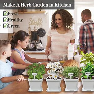 Herb Garden Windowsill Starter Kit - 10 Herb Indoor Kitchen Growing Herb Complete Set Including Everything for Beginner - DIY Garden Gifts for Kid Adult