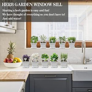 Herb Garden Windowsill Starter Kit - 10 Herb Indoor Kitchen Growing Herb Complete Set Including Everything for Beginner - DIY Garden Gifts for Kid Adult