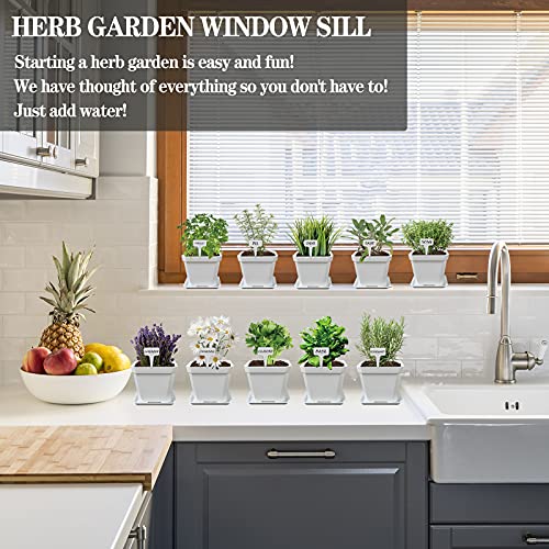 Herb Garden Windowsill Starter Kit - 10 Herb Indoor Kitchen Growing Herb Complete Set Including Everything for Beginner - DIY Garden Gifts for Kid Adult