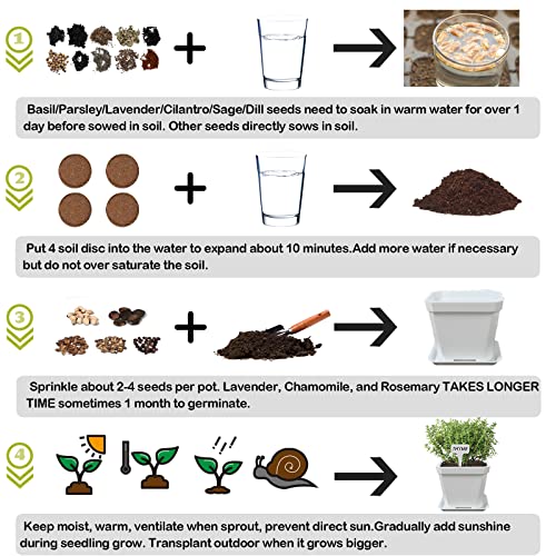 Herb Garden Windowsill Starter Kit - 10 Herb Indoor Kitchen Growing Herb Complete Set Including Everything for Beginner - DIY Garden Gifts for Kid Adult