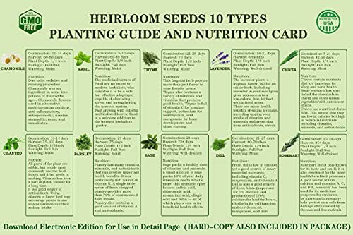 Herb Garden Windowsill Starter Kit - 10 Herb Indoor Kitchen Growing Herb Complete Set Including Everything for Beginner - DIY Garden Gifts for Kid Adult