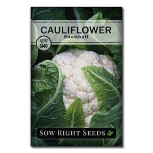 sow right seeds – snowball cauliflower seed for planting – non-gmo heirloom packet with instructions to plant a home vegetable garden