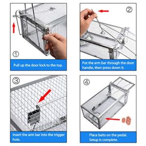 Gingbau Live Traps for Chipmunks Rats and Mice (Set of 2)