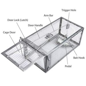 Gingbau Live Traps for Chipmunks Rats and Mice (Set of 2)