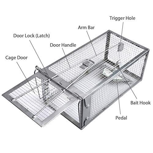 Gingbau Live Traps for Chipmunks Rats and Mice (Set of 2)