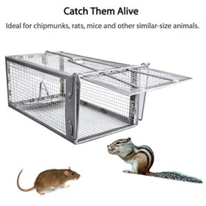 Gingbau Live Traps for Chipmunks Rats and Mice (Set of 2)