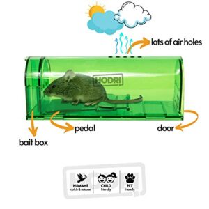 Humane Smart No Kill Mouse Trap, Cruelty Free Live Catch and Release, Easy to Set for Small Rodents Such as Mouse Mice Vole Mole Chipmunk, Reusable for Kitchen Garden Storage Garage (Green - (2 pcs))