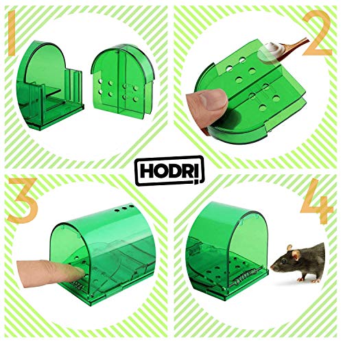 Humane Smart No Kill Mouse Trap, Cruelty Free Live Catch and Release, Easy to Set for Small Rodents Such as Mouse Mice Vole Mole Chipmunk, Reusable for Kitchen Garden Storage Garage (Green - (2 pcs))