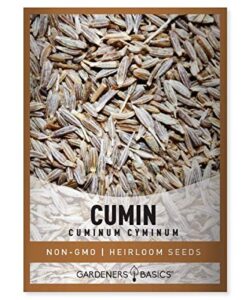 cumin seeds for planting is a heirloom, non-gmo herb variety- cuminum cyminum herb seeds great for indoor and outdoor gardening by gardeners basics
