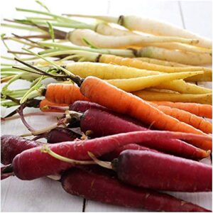 david’s garden seeds carrot rainbow blend fba-9334 (multi) 200 non-gmo, heirloom seeds