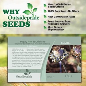 Outsidepride Papaver Somniferum Poppy Hen & Chickens Rock Garden & Container Flowers - 10000 Seeds