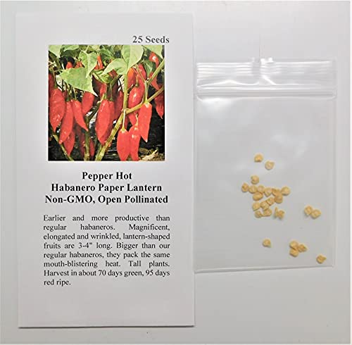 David's Garden Seeds Pepper Hot Habanero Paper Lantern 2342 (Red) 25 Non-GMO, Heirloom Seeds