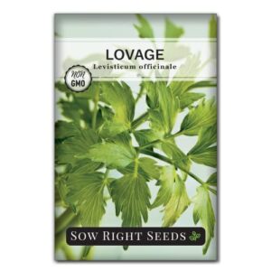 sow right seeds – lovage seed for planting – culinary herb to plant in your home herb garden – indoors or outdoors – flavorful and productive greens – non-gmo heirloom seeds – a great gardening gift