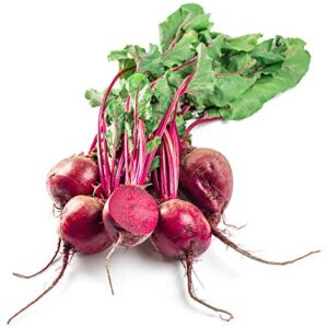 Red Ace Beet Seeds, 100 Seeds Per Packet, Non GMO Seeds Scientific Name: Beta vulgaris, Isla's Garden Seeds