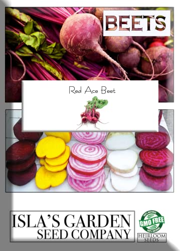 Red Ace Beet Seeds, 100 Seeds Per Packet, Non GMO Seeds Scientific Name: Beta vulgaris, Isla's Garden Seeds