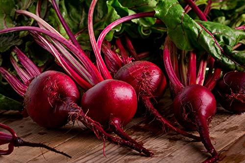 Red Ace Beet Seeds, 100 Seeds Per Packet, Non GMO Seeds Scientific Name: Beta vulgaris, Isla's Garden Seeds