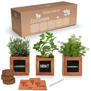 indoor herb growing kit – herbal tea plants included in tea growing kits are lavender, chamomile & mint seeds. medicinal herb plants seed kit