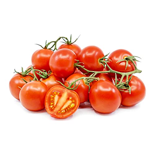 QAUZUY GARDEN 50 Seeds Tomato Seeds Exotic Sweet Vine Tomatoes Fruit Vegetables Plant Seed- Organic No-GMO Tomato Seeds- Fast Grow & Harvest