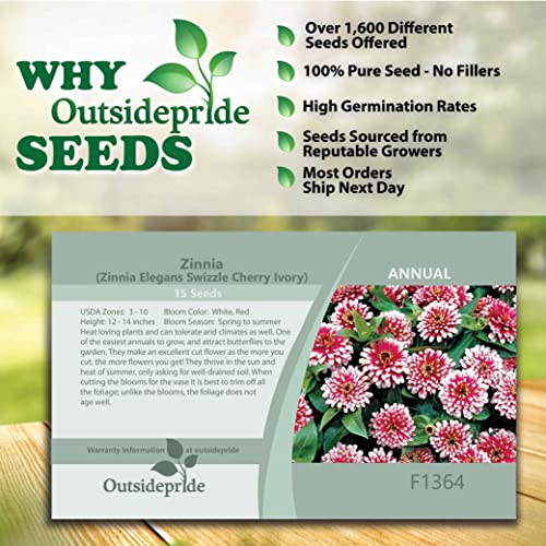 Outsidepride Zinnia Swizzle Cherry Ivory Heat & Drought Tolerant Garden Cut Flowers - 30 Seeds