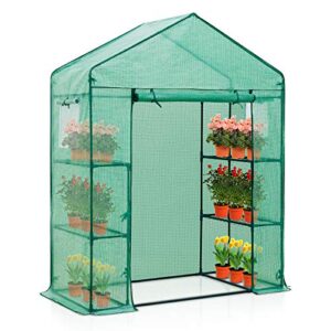 eagle peak 61” x 28” x 79” walk-in greenhouse, 2 tier 4 shelves portable plant gardening greenhouse, front roll-up zipper entry door and 2 roll-up side windows, green