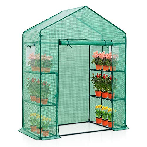 EAGLE PEAK 61'' x 28'' x 79'' Walk-in Greenhouse, 2 Tier 4 Shelves Portable Plant Gardening Greenhouse, Front Roll-Up Zipper Entry Door and 2 Roll-Up Side Windows, Green