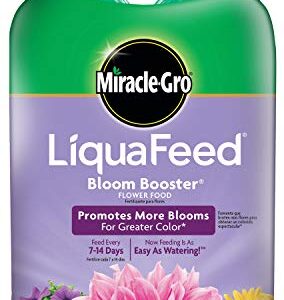 Miracle-Gro LiquaFeed All Purpose Plant Food Advance Starter Kit and Bloom Booster Flower Food Bundle: Feeding as Easy as Watering