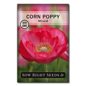 Sow Right Seeds - Poppy Flower Seeds Collection to Plant - Corn, Oriental, Purple Gleam, California Orange, and White Linen Varieties for Planting and Growing a Beautiful Garden; Non-GMO Heirloom Seed